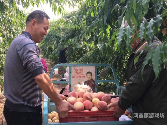 一区二区国产精品密桃