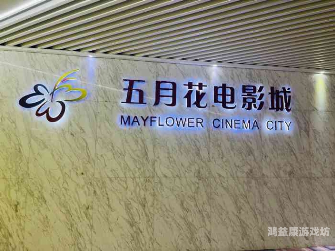 五月花国产一区二区五月花国产一区二区，深度解析国产电影市场的区域划分与未来发展