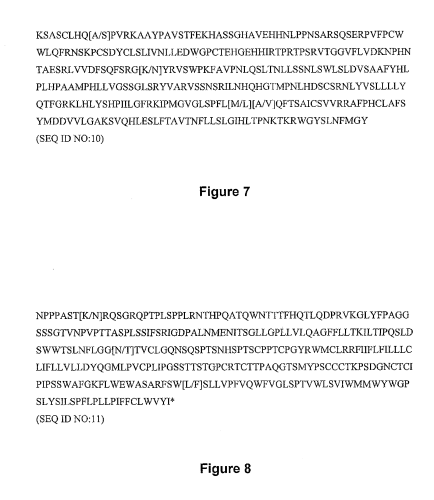 AV在线精品网站，用户指南、安全性与法律考量在线asp