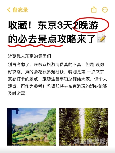 东京一区二区三区精品视频全解析，探索日本首都的文化与风情