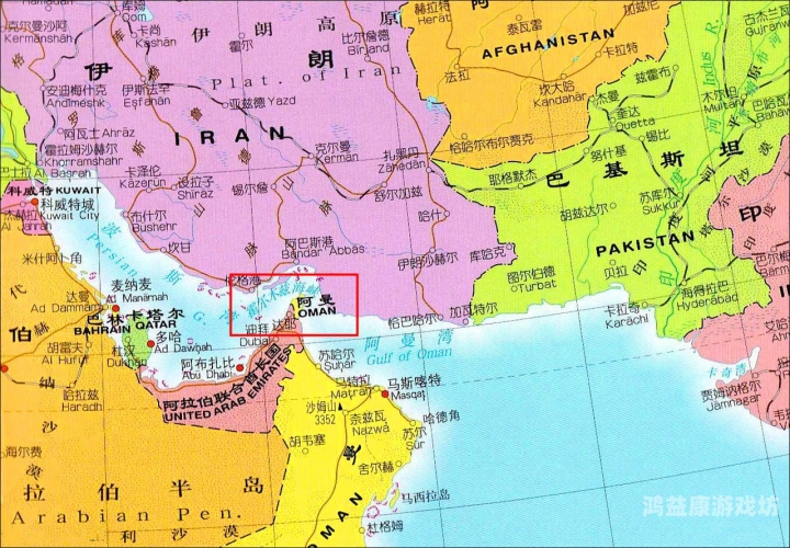 亚洲无码不卡宅男在线，网络文化现象与影响深度解析