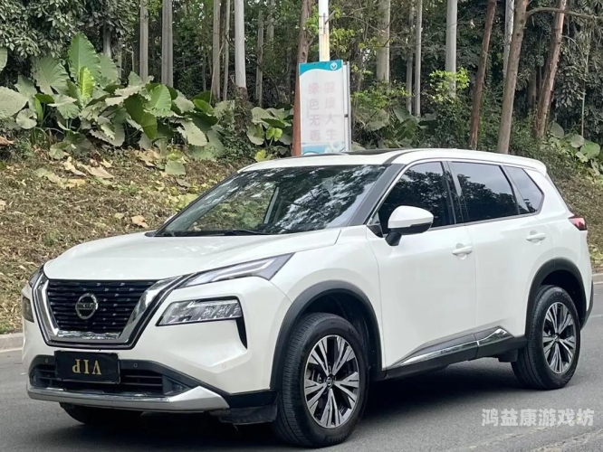 日产日韩在线亚洲欧美日产日韩在线亚洲欧美，全球汽车市场的多元化竞争格局