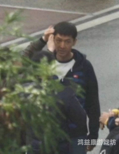 国产无码电影免费在线观看，法律风险与版权保护的重要性