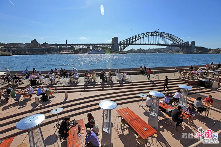 亚洲青青在线视频，探索亚洲文化的窗口与未来发展趋势青青亚青风