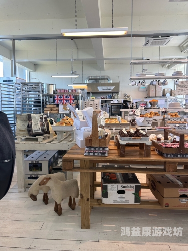 久久国产精品拍拍拍久久国产精品拍拍拍，探索国产影视作品的崛起与魅力