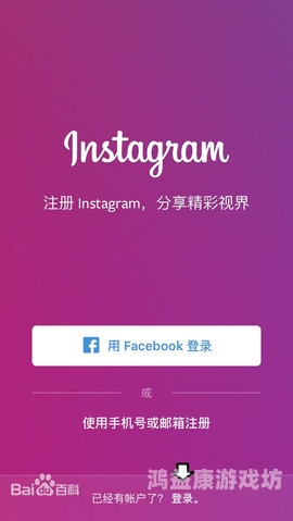 探索INS加速器，提升网络速度与跨平台畅连的利器