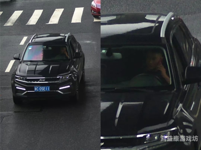 无码中文字幕加勒比高清，探索成人影片的新趋势与影响