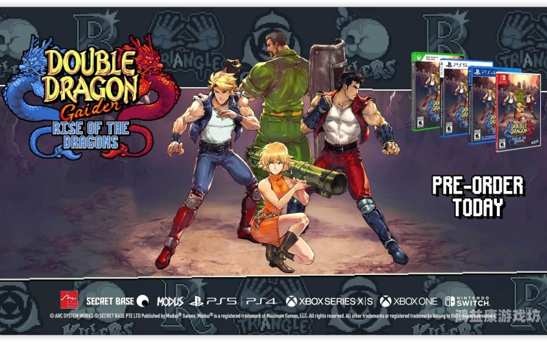 横版格斗网络游戏的崛起与未来展望横版格斗网络游戏大全