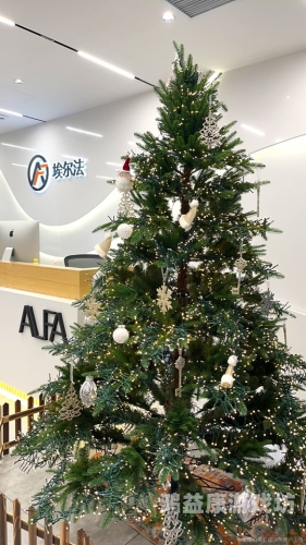 亚洲精品国产aa亚洲精品国产AA，品质与创新的完美结合