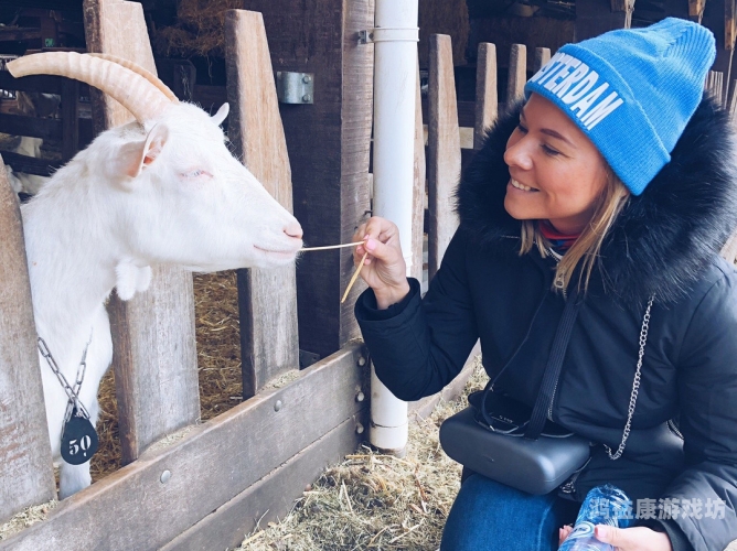 99ri在线精品视频99ri在线精品视频，探索数字时代的高品质视觉盛宴