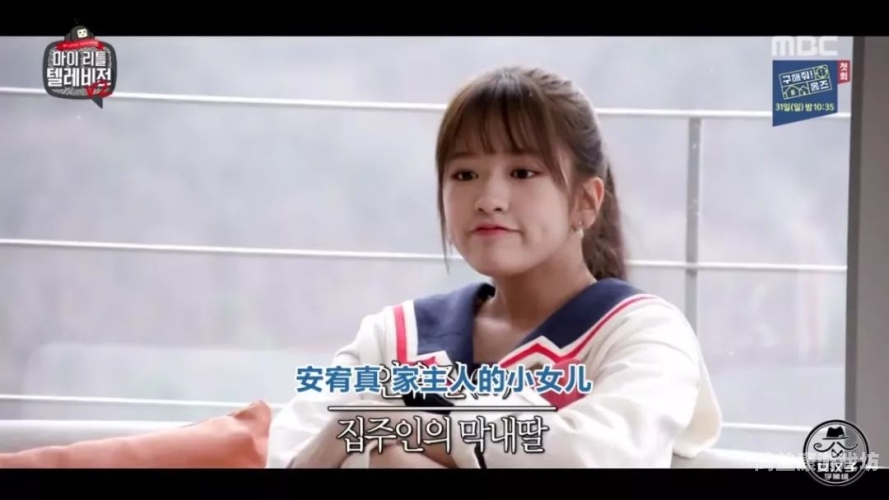 中文字幕日韩小视频，文化交融与娱乐新趋势中文字幕日韩视频合集在线