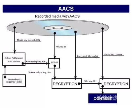 探索数字时代下的影视文化，一本到DVD无码中字在线观看的演变与影响