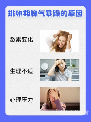 天天躁日日躁狠狠躁日日躁婷婷，解读现代年轻人的情绪管理困境天天日大