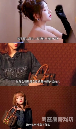 手机版，移动生活的信息与娱乐新宠