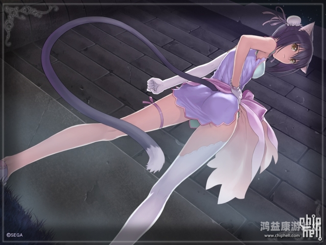 精品福利视频一区二区三区精品福利视频一区二区三区，全面解析与用户体验分享