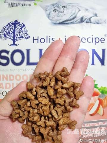 精品免费人成福利视频，如何安全合法地享受网络资源免费福利tⅴ