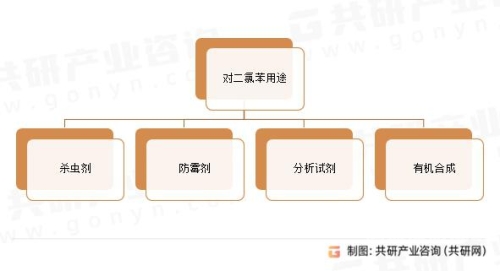 国产精品P，崛起与未来展望