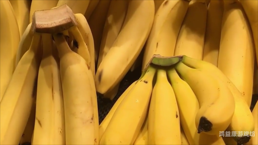 香蕉久久精品曰曰躁夜夜躁香蕉久久精品，探索其背后的水蜜桃在线播放与市场价值