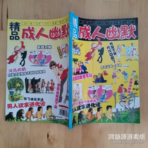 伊人成人久久精品综合伊人成人久久精品综合，探索成人内容的新趋势与影响