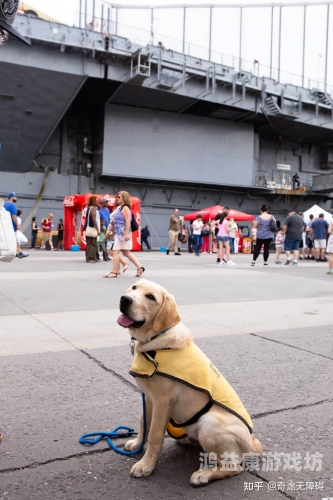 探索无码专区与亚洲VA专区的文化现象与市场趋势