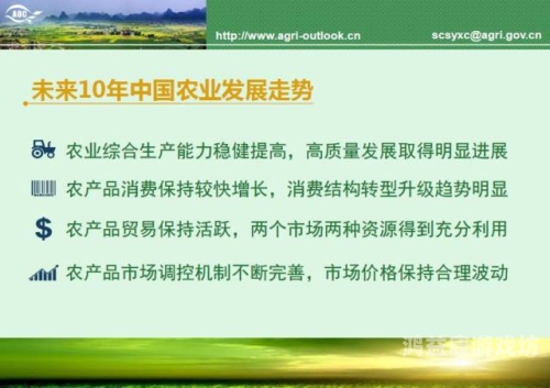 在线视频播放平台的发展趋势与未来展望