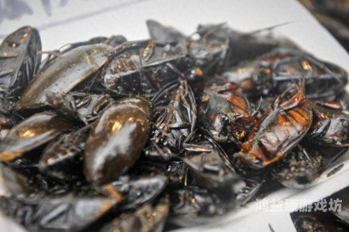 木筏生存，揭秘古代人类的生存智慧与探险精神