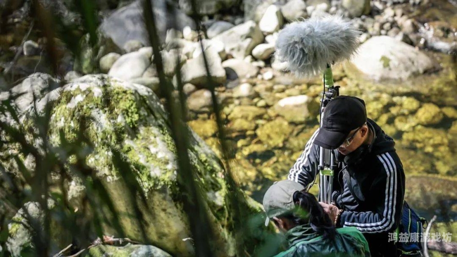 深入解析无人区乱码一区二区三区现象，技术、法律与社会影响