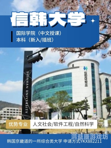 中文综合无码一区二区三区，全面解析与深度探讨