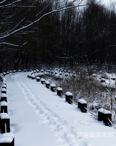 雪花飘影院手机版在线观看2018年最新电影大放送雪花飘手机在线观看免费