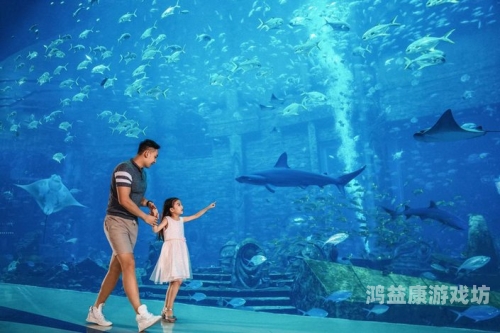 海棠官方网站入口免费阅读安卓，探索知识的海洋，尽享文学盛宴