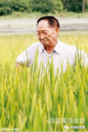 不朽进化，探索生命在时间中的持久与变迁不朽进化 秋天天梦