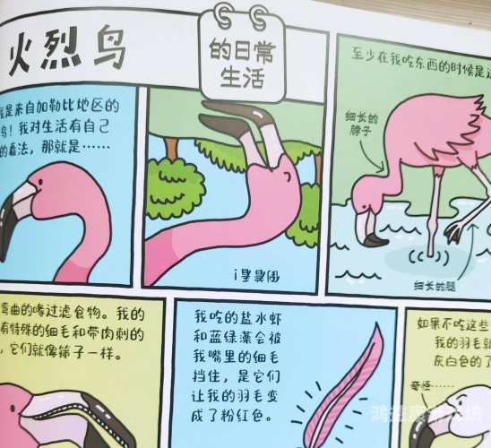 探索歪歪漫画平台的奥秘与乐趣香蕉文化漫画书免费阅读平台