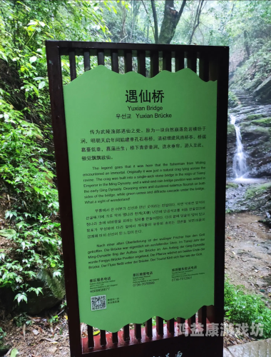 桃花源记手游官网，探秘中国古代奇幻世界的神秘之旅