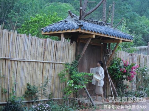 凡人长生录，探寻人类寿命的奥秘与延寿之道凡人长生录免费阅读