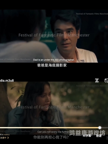 国产中文字幕一级二级，影视字幕分级制度的现状与未来展望