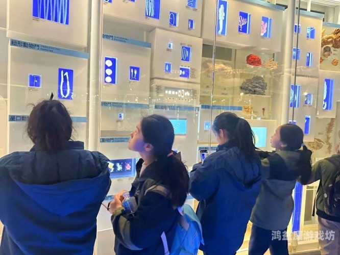 亚洲网日本一区，探索日本文化与科技的独特魅力