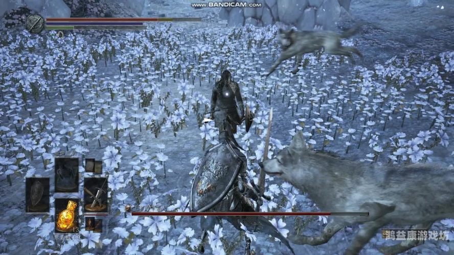 狼人香蕉专区狼人香蕉专区，探索神秘与美味的交汇点