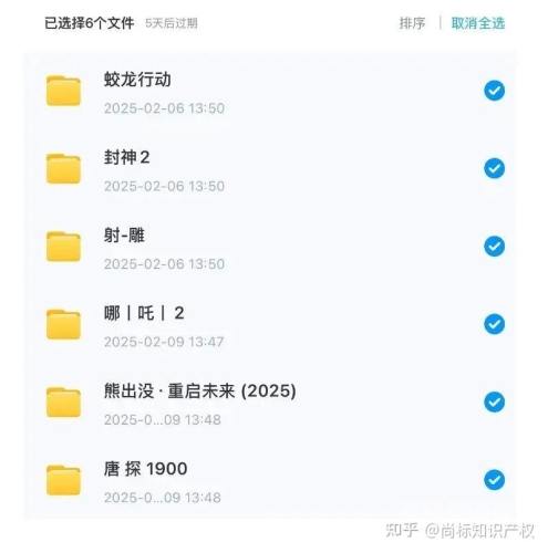 亚洲国产精品盗摄亚洲国产精品盗摄现象，版权保护与行业自律的双重挑战
