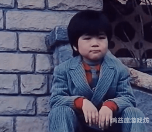 秋霞在线观看片无码不卡，深度解析与观影指南