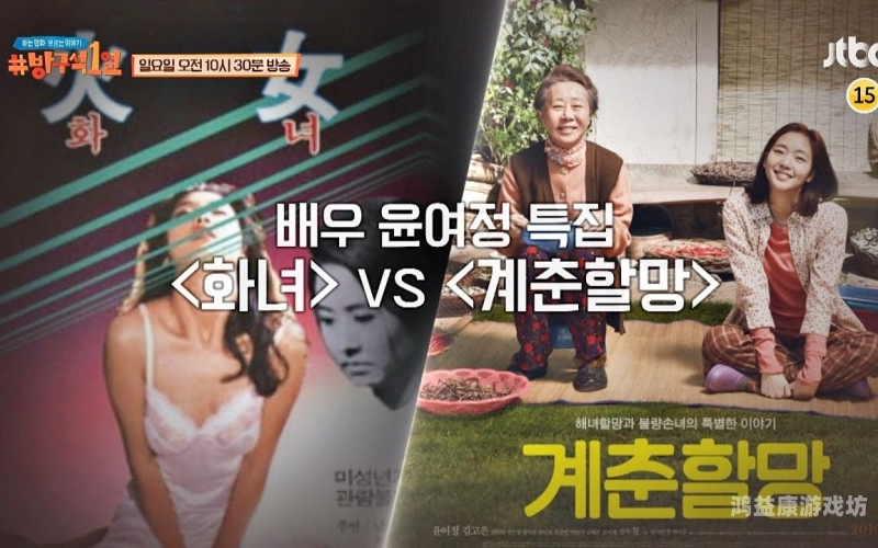 中文字幕VS日韩无码，文化差异与市场需求的多维度分析