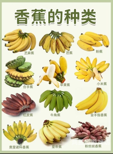 一本大道香蕉久在热线29一本大道香蕉久在热线29，探索热带水果的奥秘与水蜜桃在线播放益处