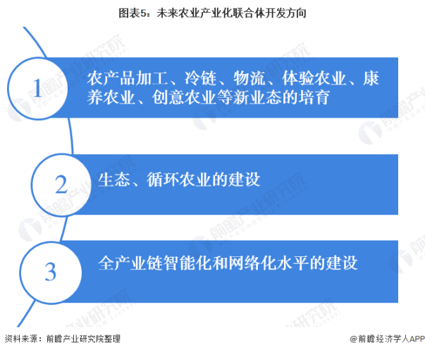 国产成本人免费视频，市场现状、用户需求与未来发展趋势分析
