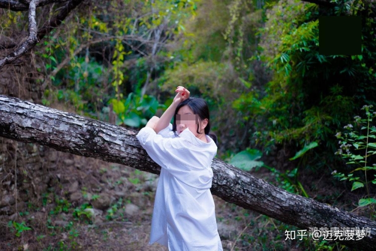 在线播放一区二区，全面解析与使用指南