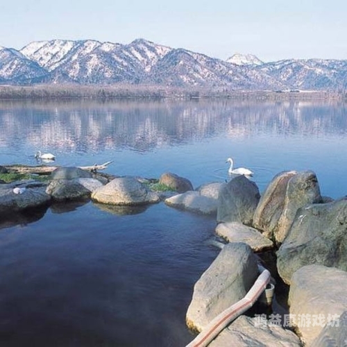 欧美超碰人人人人澡，文化差异与公共浴池的全球视角