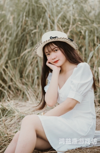 日韩精品无码免费专区午夜不卡日韩精品无码免费专区午夜不卡，深度解析与用户指南