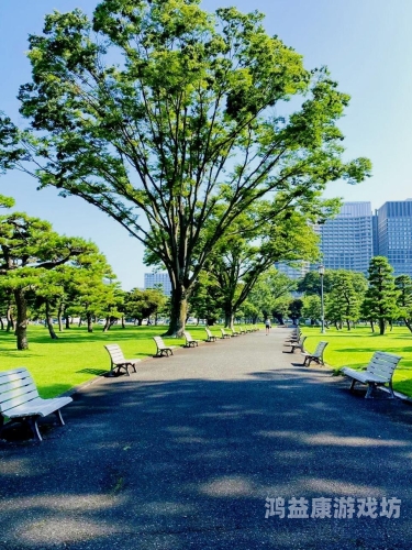 日本精品二区日本精品二区，探索日本文化与艺术的独特魅力