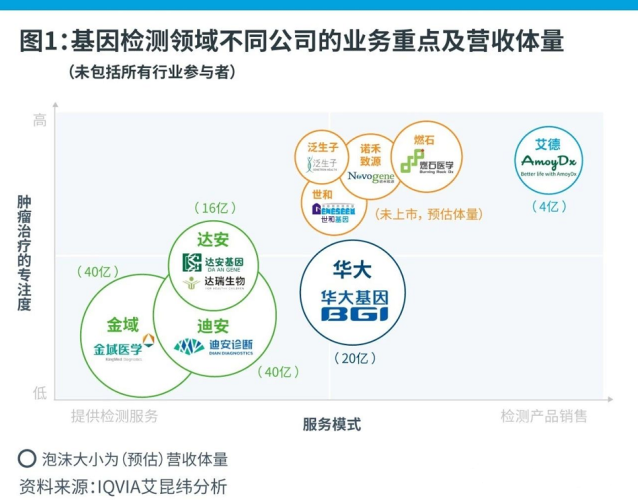 亚洲VP99久久免费，深度解析其背后的技术与市场趋势