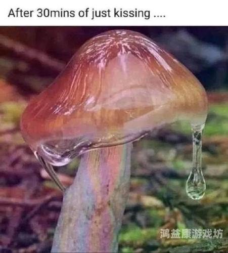 久久男人网久久男人网，打造男性水蜜桃在线播放与生活品质的专属平台