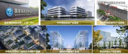 探索九九九九热精品视频背后的流行趋势与用户需求