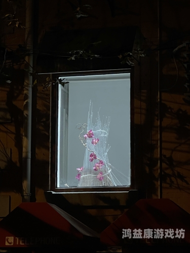 玖玖中文字幕在线观看，高清影视资源与字幕同步的完美体验